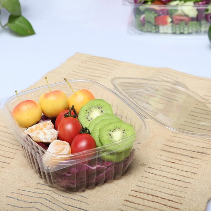 HC-24 24 Oz PET Plastic Disposable Lid-Hinged Clamshell Container,Salad ...