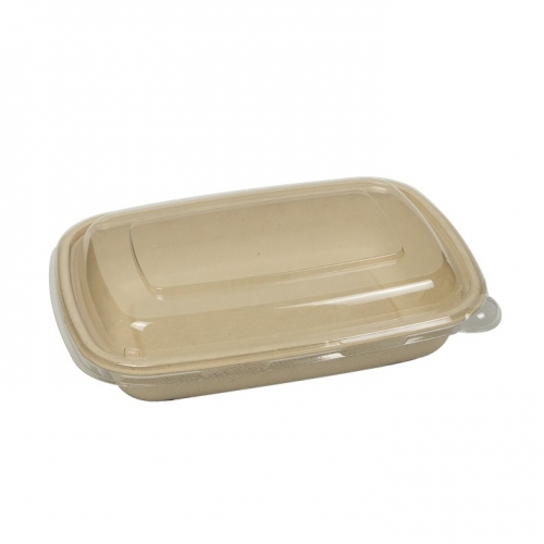 Biodegradable Compostable Bagasse Pulp Disposable Food Container